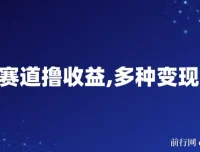 中老年人健身操项目：蓝海赛道撸收益，多种变现方式