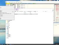 逆向工程全攻略：163节视频+配套资料（C/C++/汇编/PE文件）