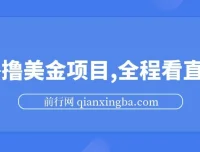 海外撸美金直播项目，小白易上手，多账号操作可增收