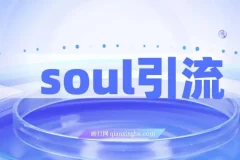 Soul引流创业粉野路子方法课程：交友平台均可引日均300+，无需剪视频写文案
