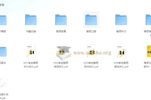 考虫雅思系统班
