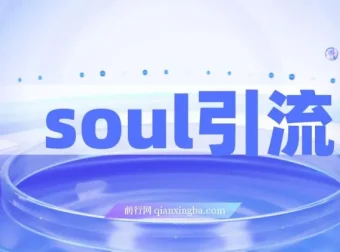 Soul引流创业粉野路子方法课程：交友平台均可引日均300+，无需剪视频写文案