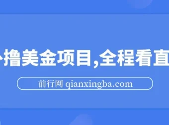 海外撸美金直播项目，小白易上手，多账号操作可增收