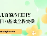 揭秘！新手0基础全程实操，也能日入几百的冷门DIY项目