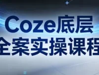 《Coze底层全案实操课程：从架构设计到高效部署的完整指南》
