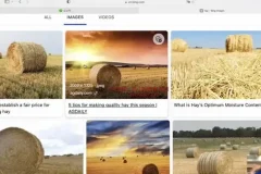 刘一男零基础4000词速记：英语词汇逆袭与西游记语法精讲课程