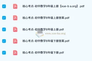 核心考点 – 初中数学资料合集