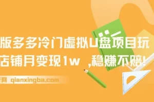 多多冷门虚拟U盘项目玩法，单店铺月变现1w+