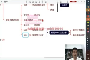 拼多多运营实战技巧：爆款打造与流量优化课程