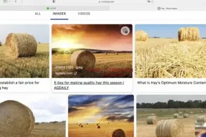 刘一男零基础4000词速记：英语词汇逆袭与西游记语法精讲课程