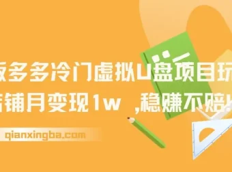 多多冷门虚拟U盘项目玩法，单店铺月变现1w+