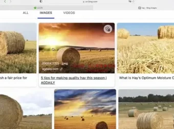 刘一男零基础4000词速记：英语词汇逆袭与西游记语法精讲课程