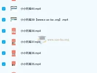 新东方绘本馆小小托福红宝词库：英语启蒙好帮手