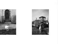 《王建章摄影课：从基础到高级，全面提升摄影技巧》