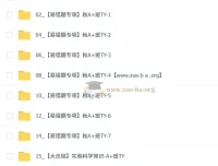 陈耀泉初中化学初三中考化学课程：实验科学自主学习