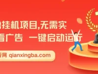 揭秘2025暑假全新首码0撸挂机项目：无需实名广告，小白轻松日入三位数