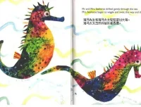 儿童科普绘本《海马先生》PPT