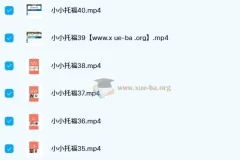 新东方绘本馆小小托福红宝词库：英语启蒙好帮手