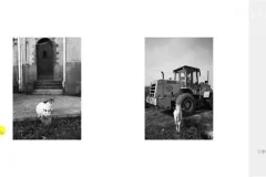 《王建章摄影课：从基础到高级，全面提升摄影技巧》