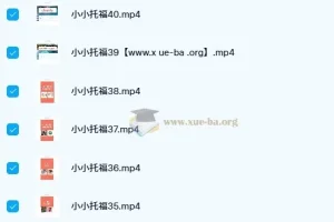 新东方绘本馆小小托福红宝词库：英语启蒙好帮手