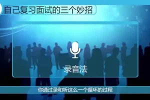 《体制内生存与晋升：44节实战微课》