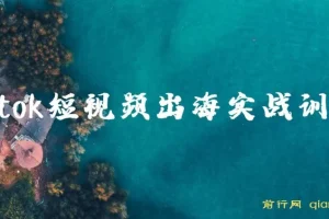 Tiktok短视频出海实战训练营