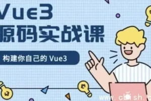 Vue 3 源码实战课程：带完整课件