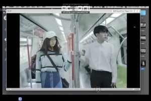 猫的树摄影课：10讲掌握独特摄影技巧