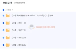 计算机等级考试备考资料大全