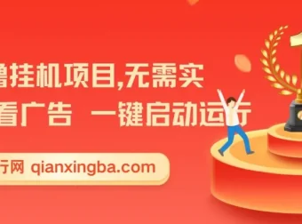 揭秘2025暑假全新首码0撸挂机项目：无需实名广告，小白轻松日入三位数