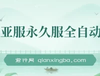 魔兽亚服永久服全自动搬砖：日入350+保姆级教学