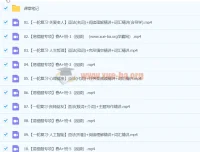 龙天宇初三中考英语A+寒假班（春上）课程