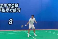 迪迪王羽毛球进阶课：涵盖双打战术、假动作技巧与30天训练计划