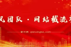 暴风团队网站截流项目分享