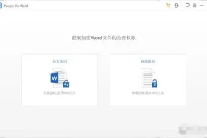 Passper密码恢复和解锁工具：支持Excel、Word、RAR、ZIP、PPT等文件
