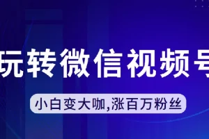 玩转微信视频号：小白变大咖，涨百万粉丝