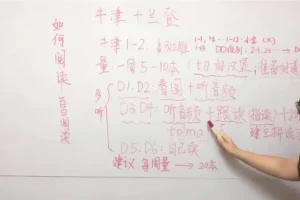 璐瑶妈妈21天英语思维训练营：助力孩子从小掌握英语