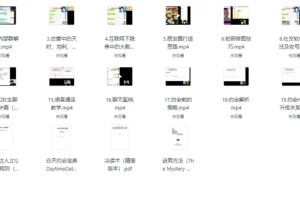 《撩妹追女神顶级教学》视频版：贴合实际，助你早日脱单