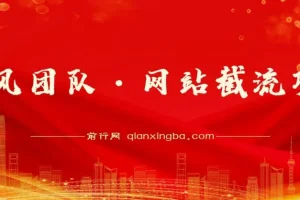 暴风团队网站截流项目分享
