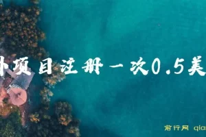 国外注册项目：三分钟操作一次赚0.5美金，可批量放大