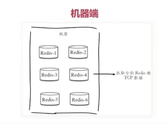 Redis从入门到高可用：一站式分布式实践指南