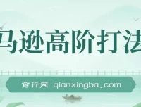 亚马逊高阶打法课程：14节视频课揭秘暴力打法