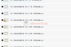 早稻田大学出品：零基础入门日语195节课程