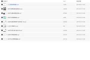 AI闪电做外贸建站训练营26期