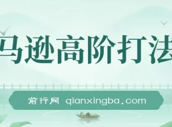 亚马逊高阶打法课程：14节视频课揭秘暴力打法