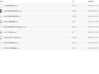 AI闪电做外贸建站训练营26期