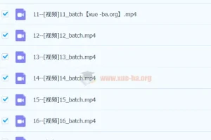 高考日语2400词全程精讲：词汇语法一起学