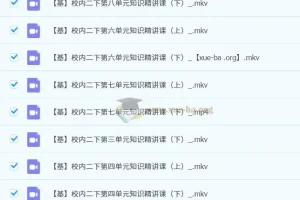 小学语文二年级A+课程（2023春下） – 于戈子琦