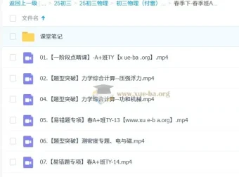 初三中考物理付雷2024 – 2025 A+秋季、寒假、春季班课程