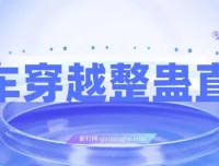 开车穿越无人直播玩法：简单易上手，收益可观